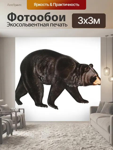 Фотообои Медведь винтажный клипарт