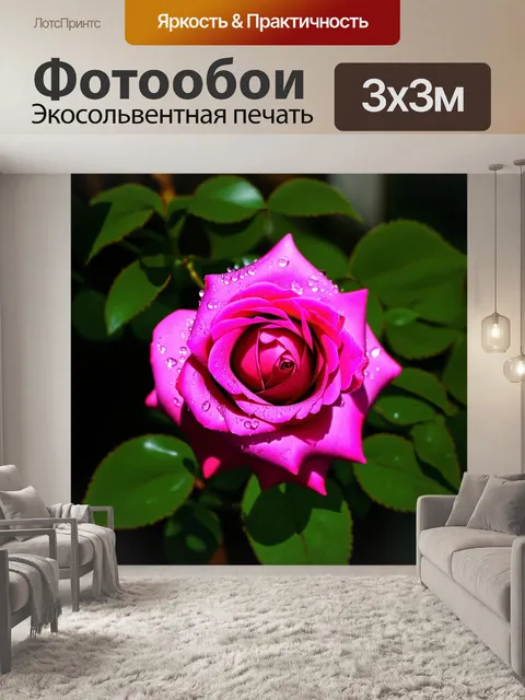 Фотообои замедленная фотография крупного плана ярко-розовой розы с каплями росы, отражающими свет утреннего солнца
