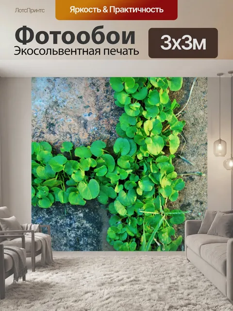 Фотообои Чудо газон между брусчатки