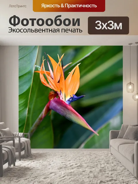 Фотообои Райская птица цветок