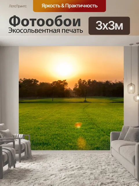 Фотообои Поле