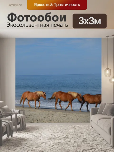 Фотообои Лошади