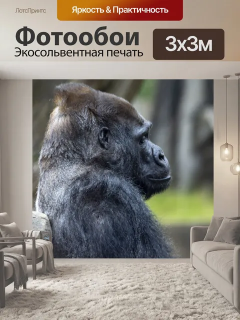 Фотообои горилла