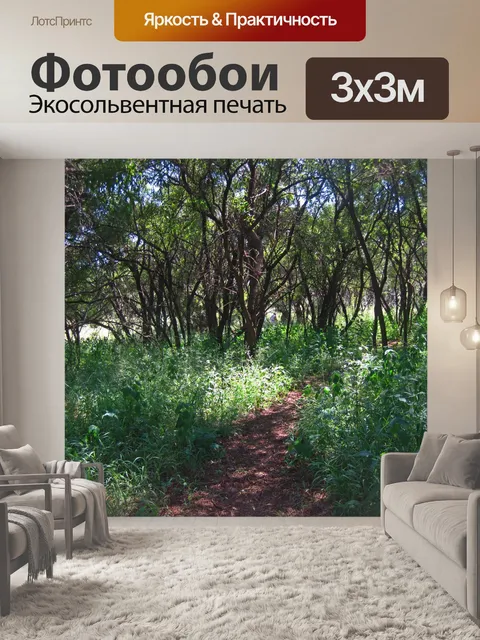 Фотообои солнце светит на траве в тени
