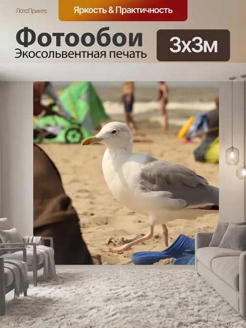 Фотообои Животное