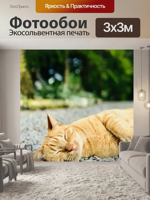 Фотообои Кошка