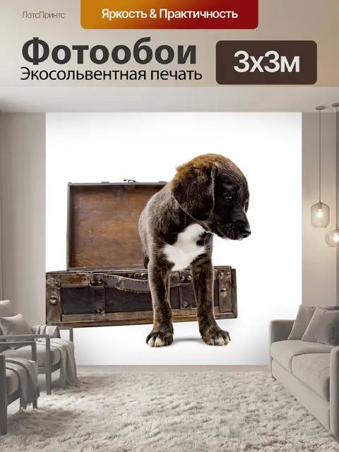 Фотообои Щенок с чемоданом