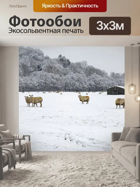 Фотообои Овцы в снегу