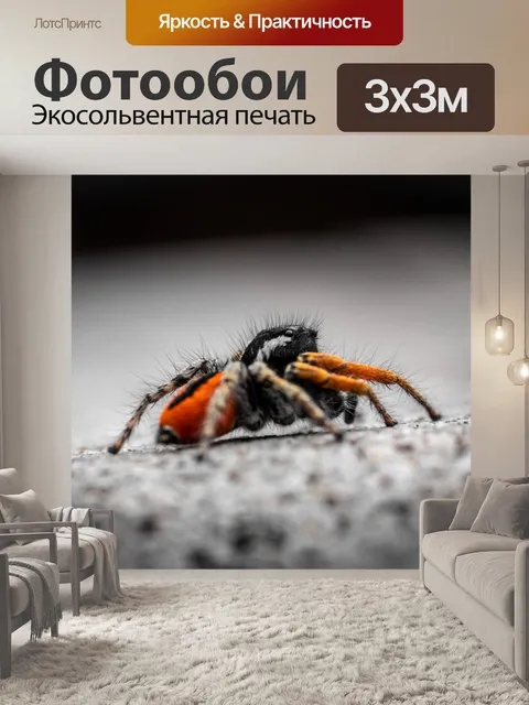 Фотообои Паук