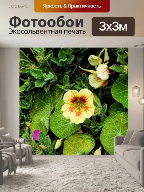 Фотообои анютины глазки