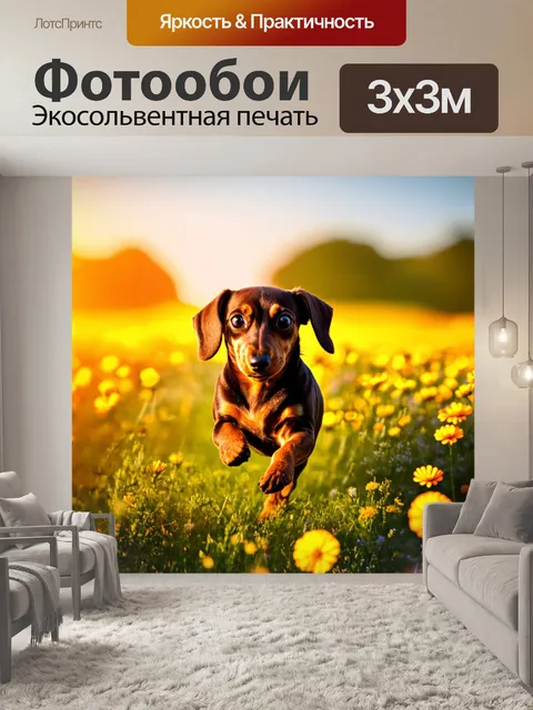 Фотообои панорамная фотографии щенка таксы, бегущего по полю с цветами на закате