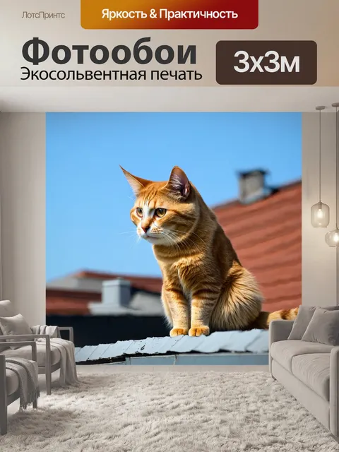 Фотообои кошка на крыше дома с ухом к ветру