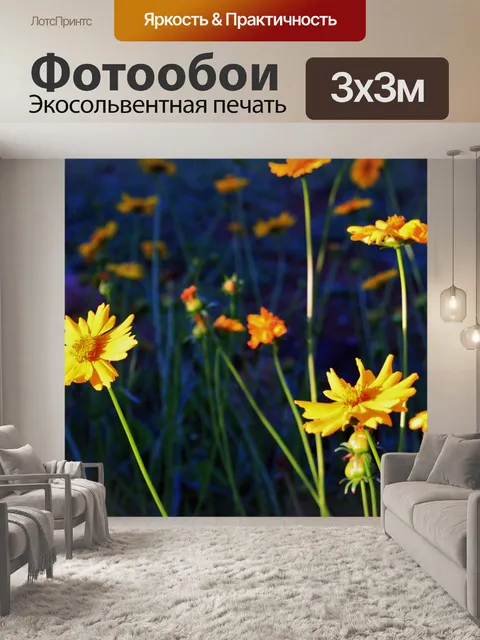 Фотообои желтые маргаритки