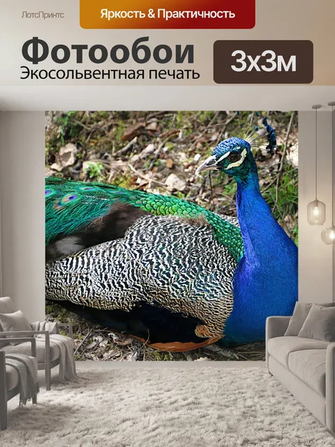 Фотообои Павлин
