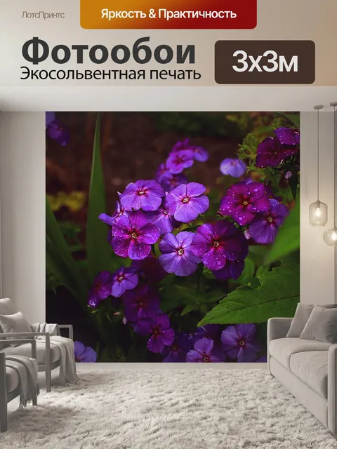 Фотообои Фиолетовый