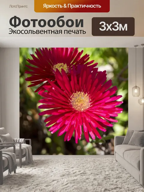 Фотообои Цветы