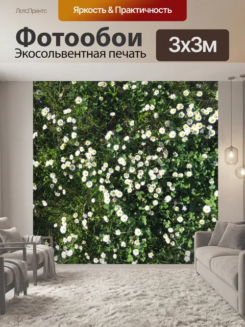 Фотообои Ковер ромашки