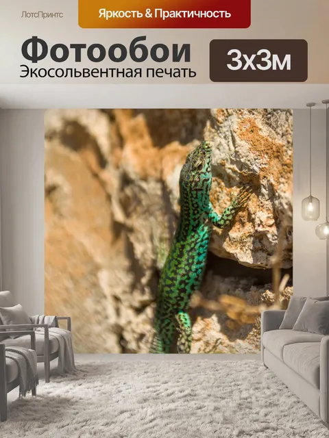 Фотообои Зелёная ящерица