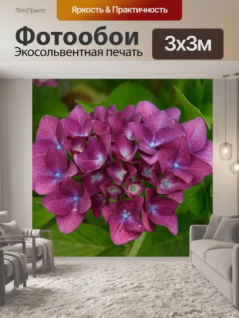 Фотообои Садовая гортензия