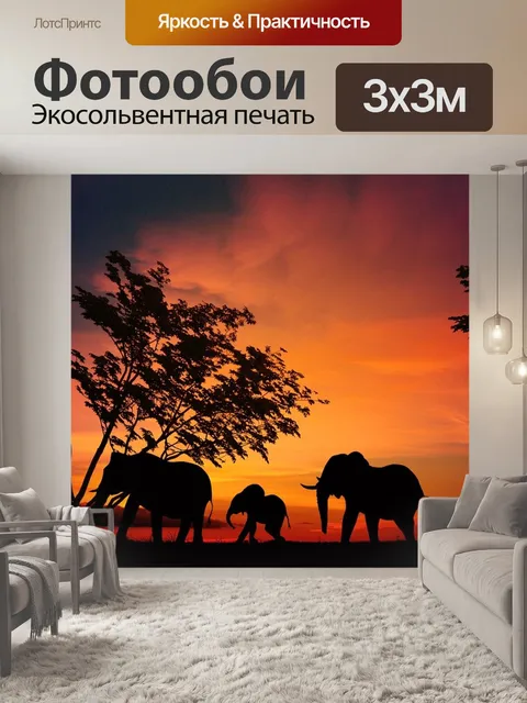 Фотообои Слон