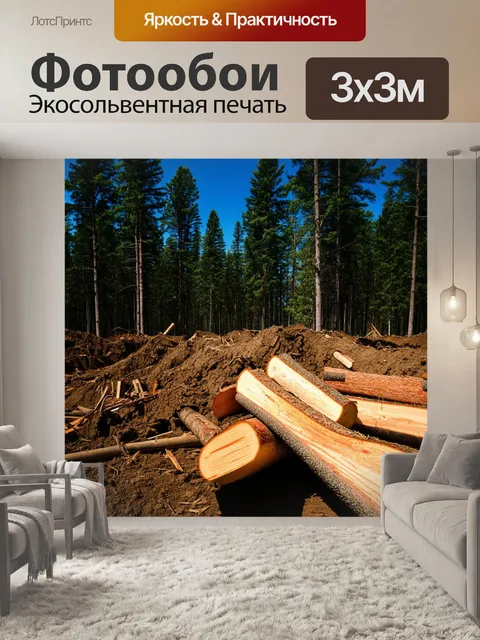 Фотообои лесоповал на строительной площадке, где срубают деревья для нового проекта