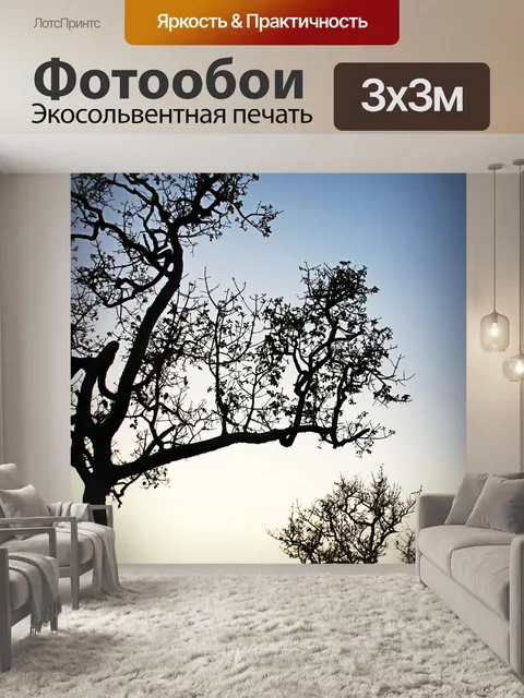 Фотообои Силуэт дерева в природе