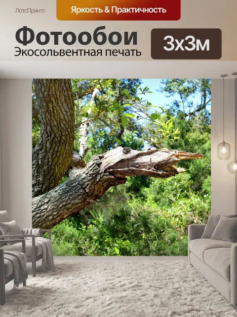 Фотообои Фон ветви дерева