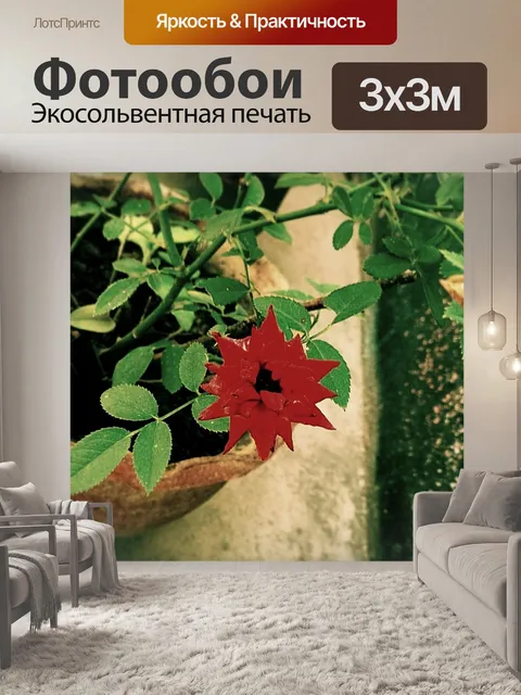 Фотообои Цветы