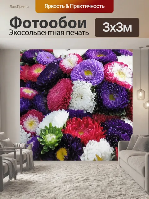 Фотообои «астерс»