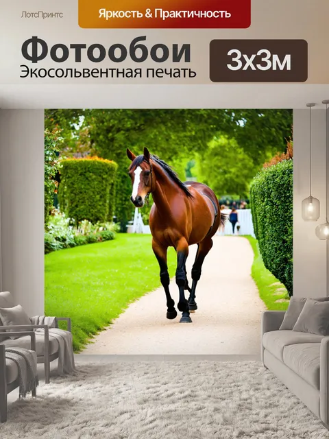Фотообои лошадь, вздымающаяся вдоль укромной тропинки в саду