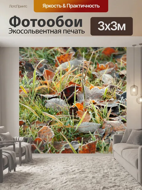 Фотообои Осень листва листья бук луг