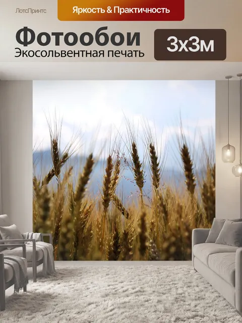 Фотообои Пшеница