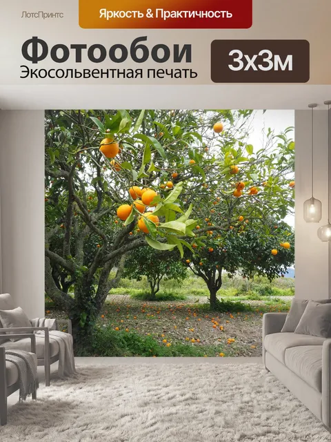 Фотообои Апельсиновое дерево