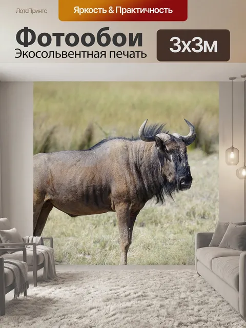 Фотообои Gnu