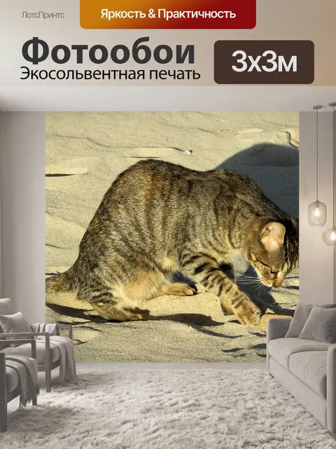 Фотообои Кошка