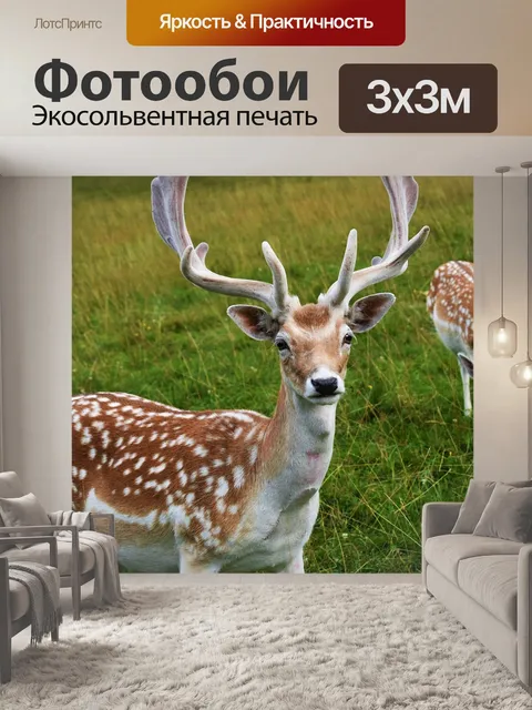 Фотообои Замша