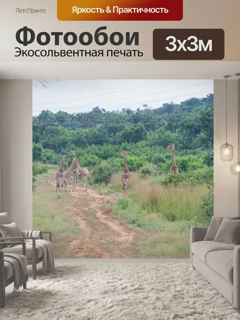 Фотообои группа жирафов на грунтовой дороге