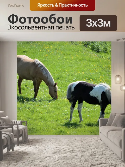 Фотообои Лошади и ферма пони