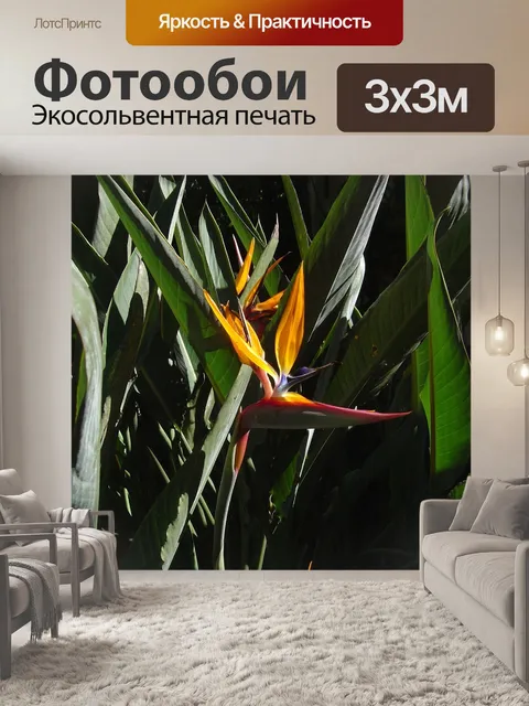 Фотообои Райская птица
