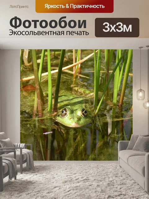 Фотообои Лягушка
