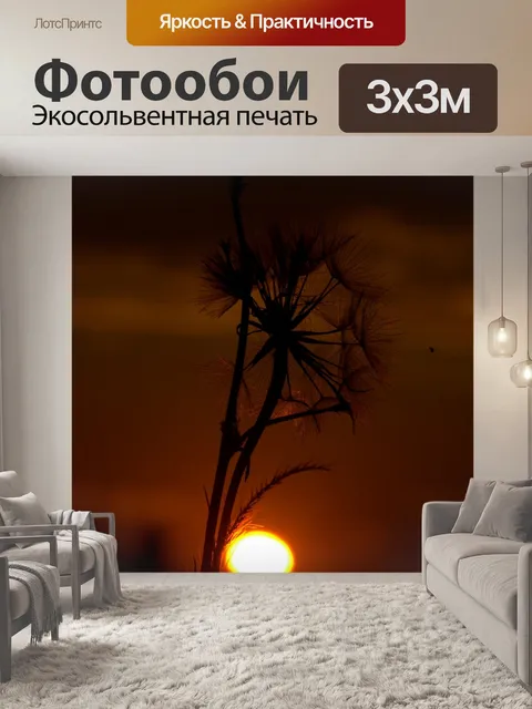 Фотообои Одуванчик