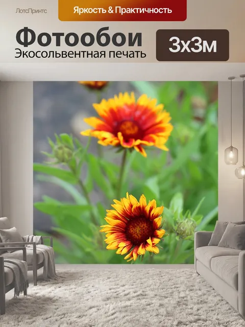 Фотообои Огненное колесо
