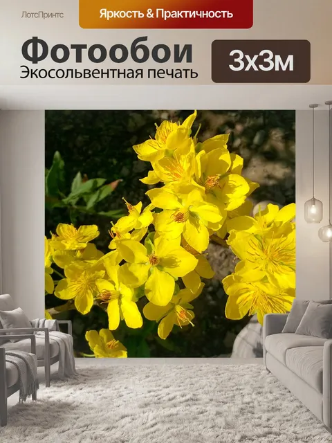 Фотообои Природа