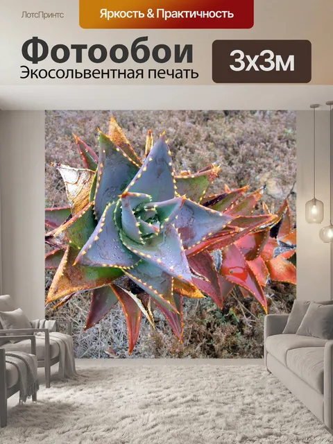 Фотообои Африканец