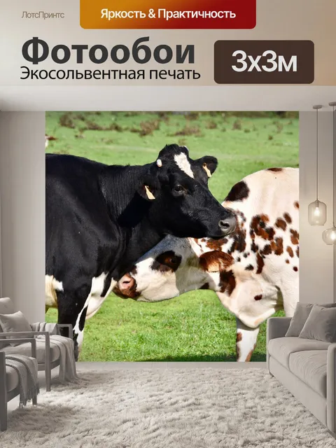 Фотообои Корова