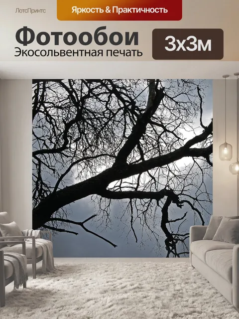 Фотообои черные ветви против пасмурного неба