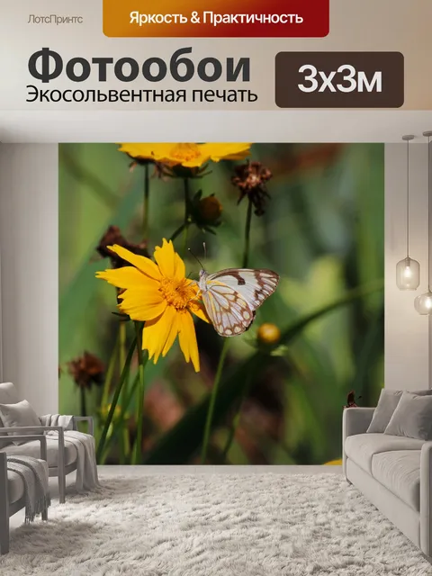 Фотообои бело-коричневая бабочка на ромашке