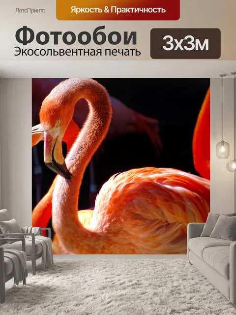 Фотообои Фламинго
