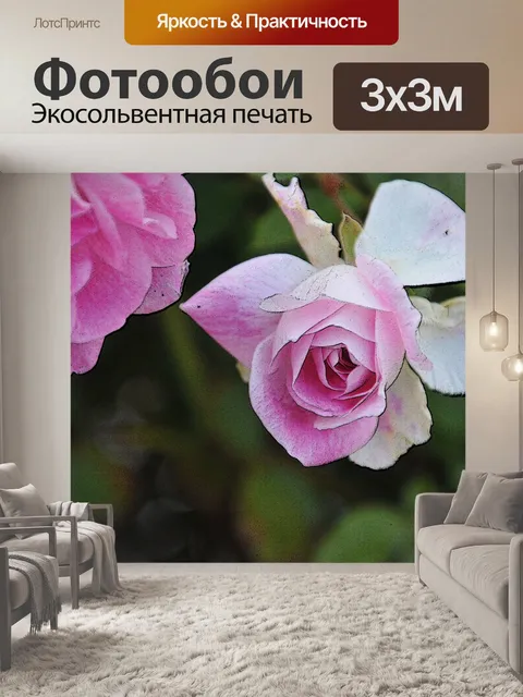 Фотообои Розовые розы Бутон