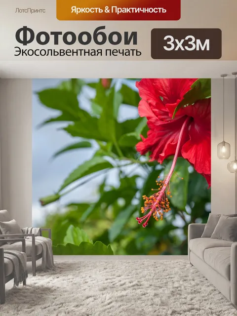 Фотообои Красный гибискус